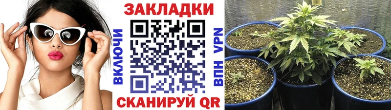 Виды наркоты Нефтекумск Кетамин  ГАШ  МАРИХУАНА  КОКАИН  Alpha-PVP 
