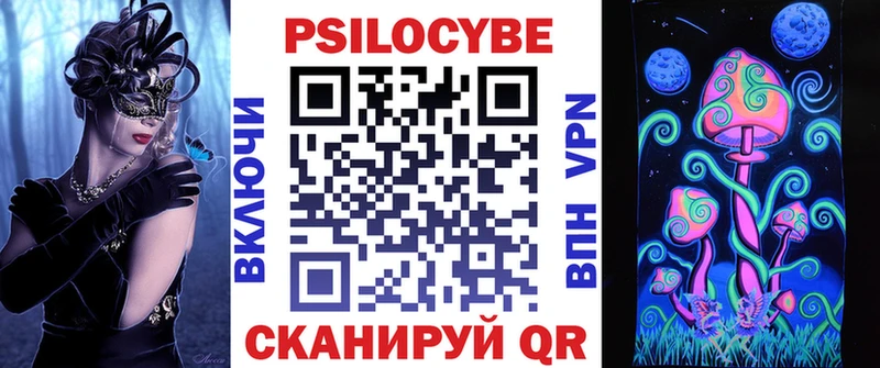 omg ССЫЛКА  купить наркотик  Нефтекумск  Галлюциногенные грибы Cubensis 